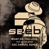 Seeb Feat. Jacob Banks - What Do You Love (Original Mix) Ringtone Download Free MP3