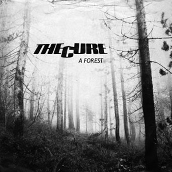 A Forest Ringtone Download Free