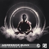 Agressor Bunx - The Spirit (Original Mix) Ringtone Download Free MP3