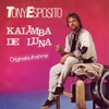 Tony Esposito - Kalimba De Luna Ringtone Download Free MP3