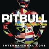 Chris Brown Feat. Pitbull - International Love Ringtone Download Free MP3