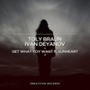 Toly Braun - What You Want (Original Mix) Ringtone Download Free MP3