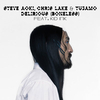 Steve Aoki - Delirious Ringtone Download Free MP3