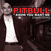 Pitbull - I Know You Want Me 2009 Ringtone Download Free MP3