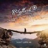 Cityflash Feat. Laura-Ly - Don't Leave Me Ringtone Download Free MP3