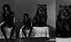 6LACK - Free Ringtone Download Free MP3