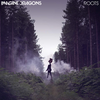 Imagine Dragons - Roots Ringtone Download Free MP3