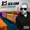 Slim - The Best Ringtone Download Free MP3