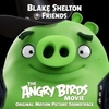 Blake Shelton - Friends Ringtone Download Free MP3