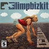 Limp Bizkit - Ready To Go Ringtone Download Free MP3