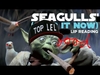 Bad Lip Reading - SEAGULLS Stop It Now Ringtone Download Free MP3