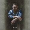 Rag'n'Bone Man - Human Ringtone Download Free MP3