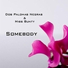 Dos Palomas Negras & Miss Bunty - Somebody (Extented Radio Mix) Ringtone Download Free MP3