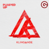 Klingande - Pumped Up Ringtone Download Free MP3