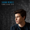 Shawn Mendes - Something Big Ringtone Download Free MP3