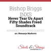 Bishop Briggs - Never Tear Us Apart Ringtone Download Free MP3