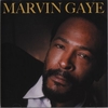 Marvin Gaye & Tammi Terrell - Ain't No Mountain High Enough Ringtone Download Free MP3