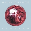 Milky Chance - Blossom Ringtone Download Free MP3