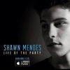 Shawn Mendes - When You're Ready Ringtone Download Free MP3