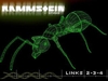 Rammstein - Links 2 3 4 Ringtone Download Free MP3