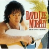 David Lee Murphy & Kenny Chesney - Everything's Gonna Be Alright Ringtone Download Free MP3