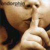 Endorphin - Soon After Silence Ringtone Download Free MP3