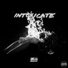 ZHU - Intoxicate Intoxicate Ringtone Download Free MP3