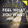 Phonique Feat. Rebecca - Feel What You Want Ringtone Download Free MP3