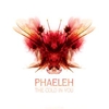 Phaeleh - The Cold In You Ringtone Download Free MP3