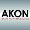 Akon - Right Now Ringtone Download Free MP3