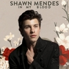 Shawn Mendes - In My Blood Ringtone Download Free MP3