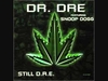 Still D.R.E. - Dr. Dre & Snoop Dogg Ringtone Download Free MP3