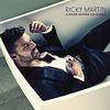 Ricky Martin - La Mordidita Ringtone Download Free MP3