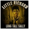 Little Richard - Long Tall Sally Ringtone Download Free MP3