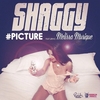 Shaggy Feat. Melissa Musique - #Picture Ringtone Download Free MP3