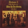 Alabama 3 - Woke Up This Morning Ringtone Download Free MP3