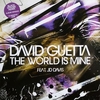 David Guetta - The World Is Mine Ringtone Download Free MP3