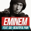 Eminem - Beautiful Pain Ringtone Download Free MP3