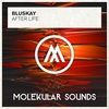 BluSkay - After Life Ringtone Download Free MP3