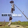 VA 'Black Cat White Cat' - Tree Stump Ringtone Download Free MP3