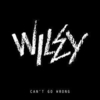 Wiley - Can't Go Wrong Ringtone Download Free MP3