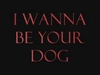 Various Artists - I Wanna Be Your Dog Ringtone Download Free MP3