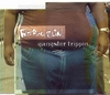 Fatboy Slim - Gangster Trippin Ringtone Download Free MP3