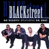 Blackstreet - No Diggity Ringtone Download Free MP3