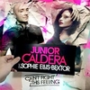 Sophie Ellis-Bextor Feat. Junior Caldera - Cant Fight This Feeling Ringtone Download Free MP3