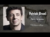 Patrick Bruel - Pas Eu Le Temps Ringtone Download Free MP3