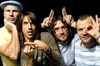 Red Hot Chili Peppers - Butterfly Ringtone Download Free MP3