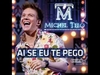 Michel Telo - Ai Se Eu Te Pego Ringtone Download Free MP3