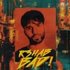 R3hab - BAD! Ringtone Download Free MP3