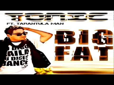 Big Fat (Radio Edit) Ringtone Download Free